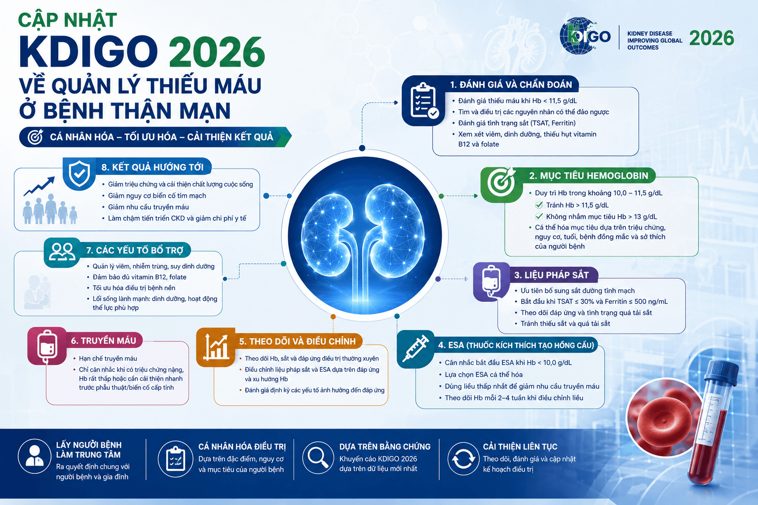 Cập nhật KDIGO 2026 về quản lý thiếu máu ở bệnh thận mạn