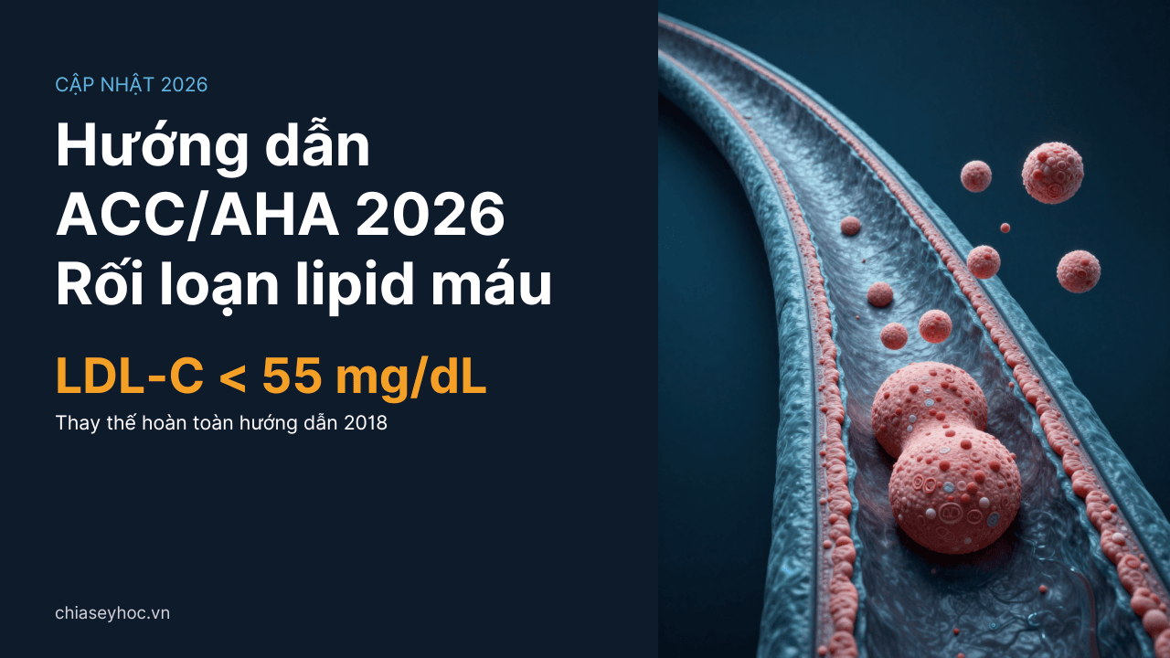 Hướng dẫn ACC/AHA 2026 về quản lý rối loạn lipid máu