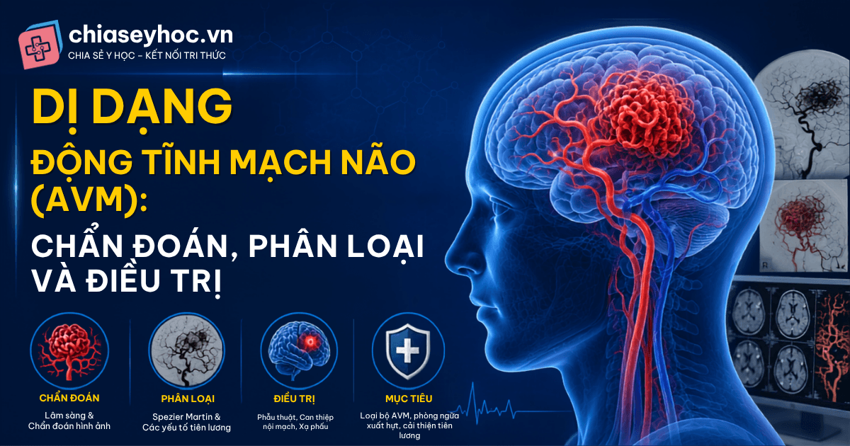 Di dạng Động tĩnh mạch não