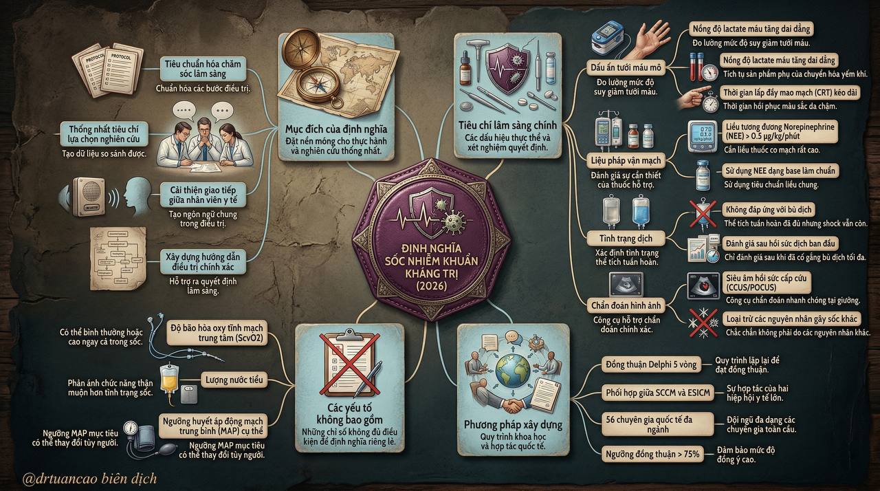 Infographic Sốc nhiễm khuẩn kháng trị 2026